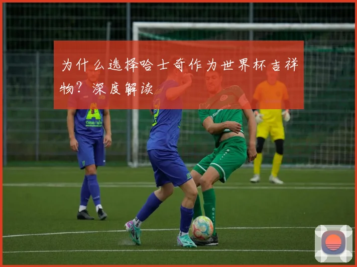 为什么选择哈士奇作为世界杯吉祥物？深度解读