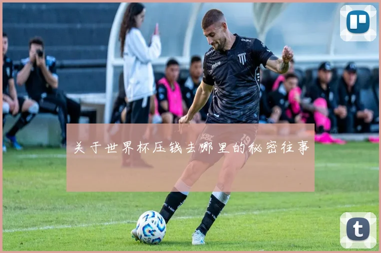 关于世界杯压钱去哪里的秘密往事