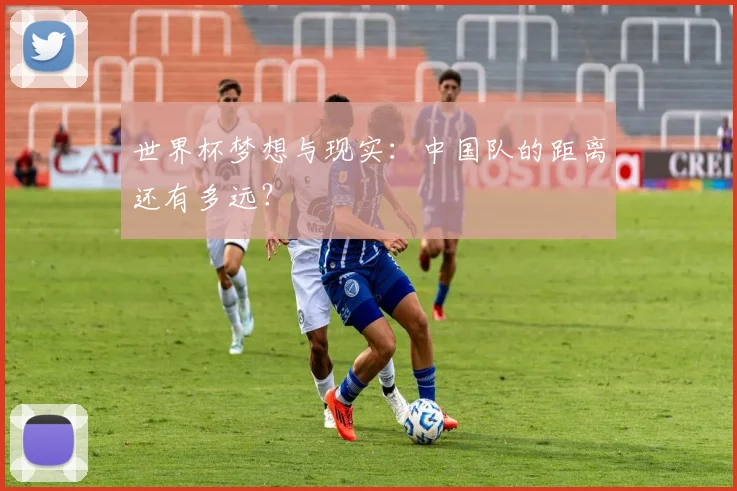 世界杯梦想与现实:中国队的距离还有多远?