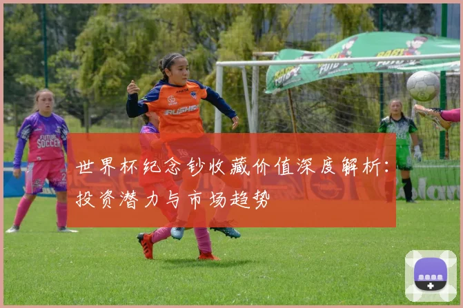世界杯纪念钞收藏价值深度解析：投资潜力与市场趋势