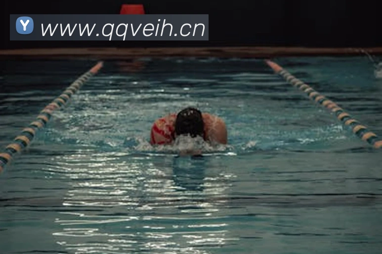 星空体育登录网页APP 封面图